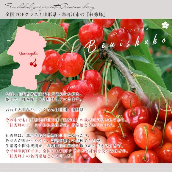 山形県 寒河江市産 さくらんぼ「紅秀峰」秀品Lサイズ以上 約400g(200g×2パック) 送料無料 サクランボ　桜桃 クール便05