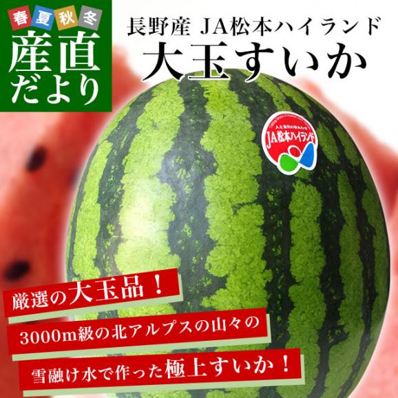 長野県産　JA松本ハイランド　大玉スイカ　秀品　4Lから5Lサイズ　9キロ以上　1玉入り　送料無料　西瓜　すいか02