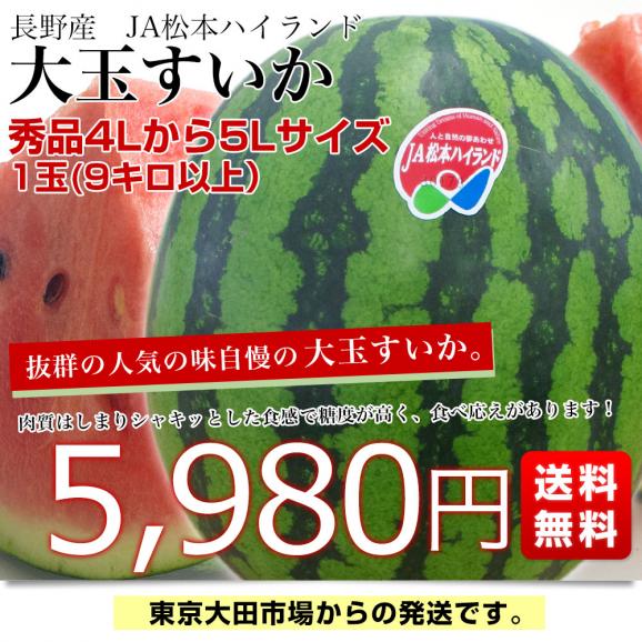 長野県産 JA松本ハイランド 大玉スイカ 秀品 4Lから5Lサイズ 9キロ以上
