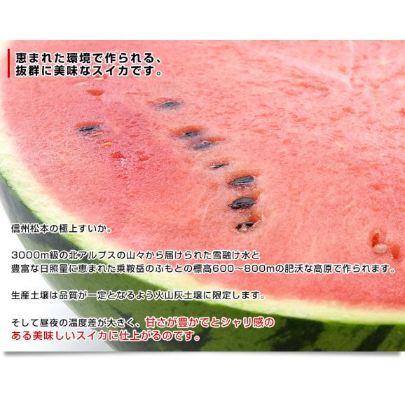 長野県産　JA松本ハイランド　大玉スイカ　秀品　4Lから5Lサイズ　9キロ以上　1玉入り　送料無料　西瓜　すいか05