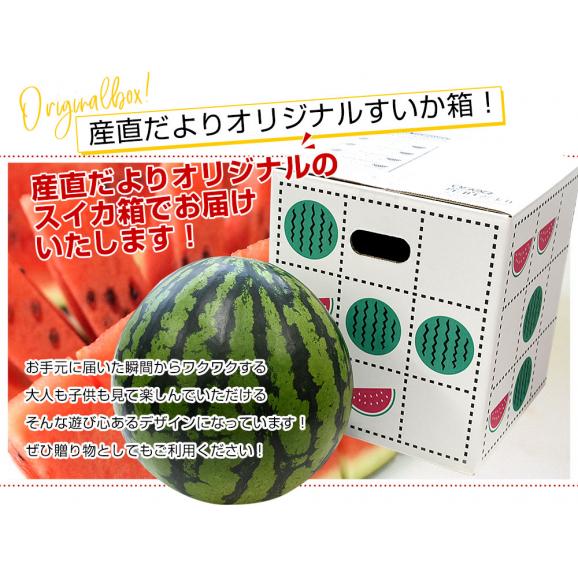 長野県産　JA松本ハイランド　大玉スイカ　秀品　4Lから5Lサイズ　9キロ以上　1玉入り　送料無料　西瓜　すいか06