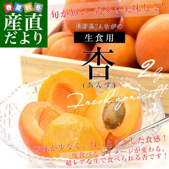 長野県産 JAながの 生食用「杏(あんず)」(品種：ハーコット) 秀品 Lサイズ以上 約2キロ(4パック入り) 送料無料 アプリコット 杏子 クール便02