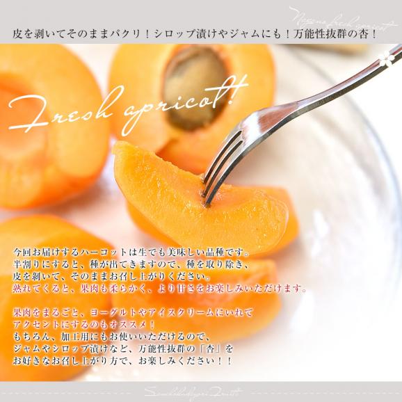 長野県産 JAながの 生食用「杏(あんず)」(品種：ハーコット) 秀品 Lサイズ以上 約2キロ(4パック入り) 送料無料 アプリコット 杏子 クール便06