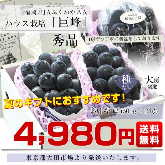 福岡県 JAふくおか八女 ハウス栽培 巨峰 約1キロ(500g×2房) 秀品 黒ぶどう葡萄 ブドウ クール便 送料無料03