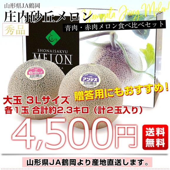 山形県より産地直送 JA鶴岡 「庄内砂丘メロン」 青肉・赤肉メロン食べ比べセット 秀品 大玉3L ２玉セット（合計約2.3キロ）送料無料 メロンセット03