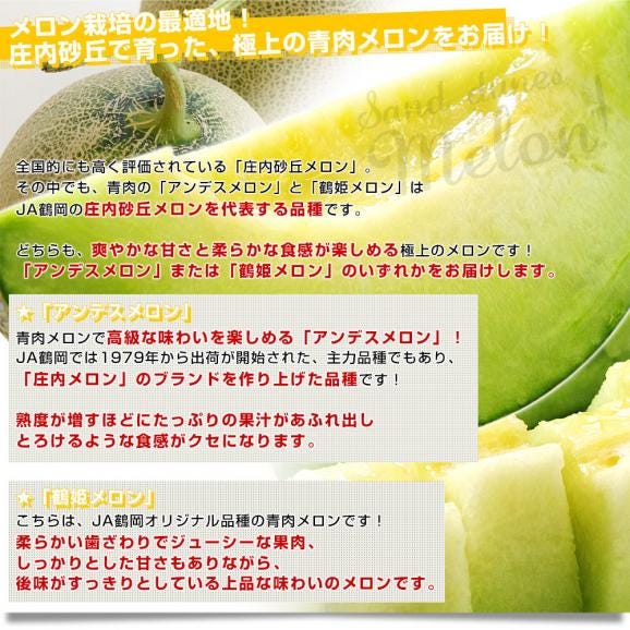 山形県より産地直送 JA鶴岡 「庄内砂丘メロン」 青肉・赤肉メロン食べ比べセット 秀品 大玉3L ２玉セット（合計約2.3キロ）送料無料 メロンセット04
