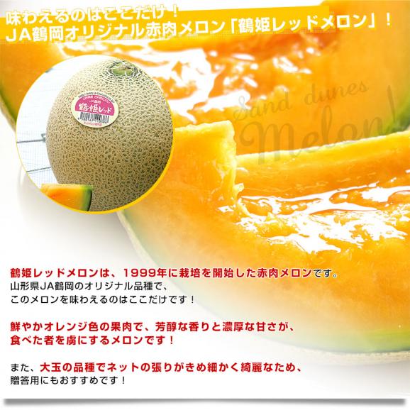 山形県より産地直送 JA鶴岡 「庄内砂丘メロン」 青肉・赤肉メロン食べ比べセット 秀品 大玉3L ２玉セット（合計約2.3キロ）送料無料 メロンセット05