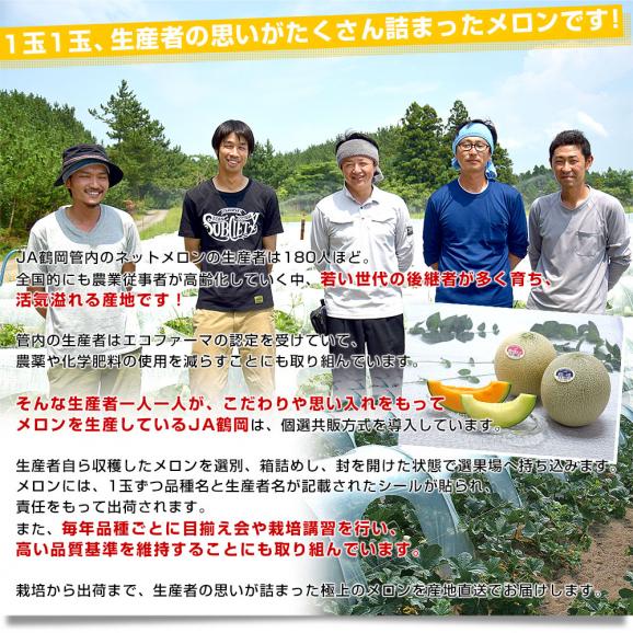 山形県より産地直送 JA鶴岡 「庄内砂丘メロン」 青肉・赤肉メロン食べ比べセット 秀品 大玉3L ２玉セット（合計約2.3キロ）送料無料 メロンセット06