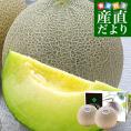 山形県より産地直送 JA鶴岡 庄内砂丘で作る 「アンデスメロン」 秀品 大玉3L合計約2.3キロ（2玉入）送料無料 めろん メロン 青肉
