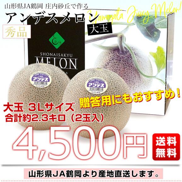 山形県より産地直送 JA鶴岡 庄内砂丘で作る 「アンデスメロン」 秀品 大玉3L合計約2.3キロ（2玉入）送料無料 めろん メロン 青肉03