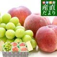山梨県産 プレミアム果物ギフト 「シャインマスカット×春日居の桃」送料無料 フルーツ詰め合わせ もも ハウスぶどう ギフト 夏ギフト お中元 御中元