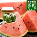 長野県産　 JA松本ハイランド ピノガール (小玉スイカ) A品  3Lから4Lサイズ 計8.5キロ以上（4玉入り） 送料無料 西瓜 すいか