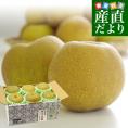 佐賀県産　JA伊万里　伊万里梨（幸水）約2キロ (大玉6玉）送料無料　梨　なし　和なし