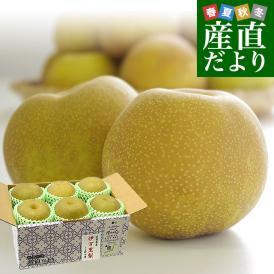 佐賀県産　JA伊万里　伊万里梨（幸水）約2キロ (大玉6玉）送料無料　梨　なし　和なし