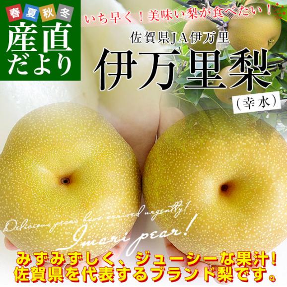 佐賀県産 JA伊万里 伊万里梨（幸水）約2キロ（大玉6玉）送料無料 梨 なし 和なし02