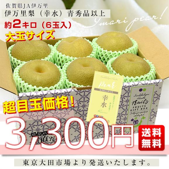 佐賀県産 JA伊万里 伊万里梨（幸水）約2キロ（大玉6玉）送料無料 梨 なし 和なし03