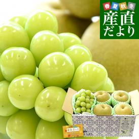 【敬老の日】山梨県 JAフルーツ山梨「シャインマスカット」1房(450g以上) ＆栃木県産「梨(品種：豊水またはあきづき梨)」4玉(合計約1.2キロ)セット 送料無料 クール便