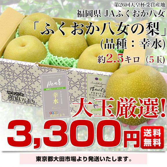 福岡県 JAふくおか八女 「ふくおか八女の梨」(品種：幸水） 大玉 約2.5キロ（5玉入り）送料無料 梨 なし 大玉梨03