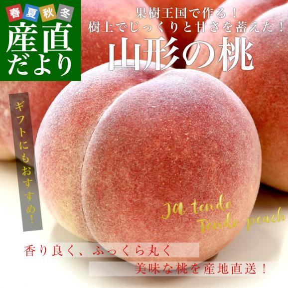 山形県から産地直送 JAてんどう 山形の桃 秀品 約3キロ (8玉から12玉) 送料無料 桃 モモ もも02