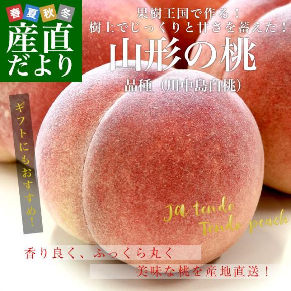山形県から産地直送 JAてんどう 山形の桃 (品種：川中島白桃) 秀品 約3キロ (8玉から12玉) 送料無料 桃 モモ もも02