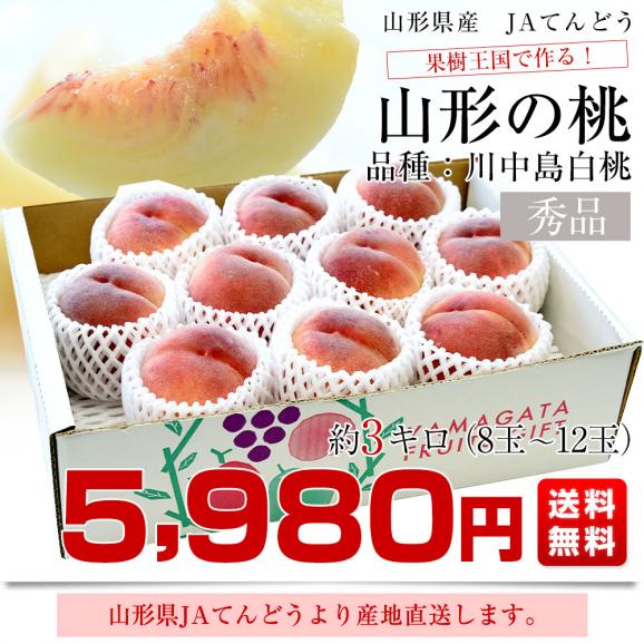 山形県から産地直送 JAてんどう 山形の桃 (品種：川中島白桃) 秀品 約3キロ (8玉から12玉) 送料無料 桃 モモ もも03