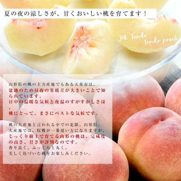 山形県から産地直送 JAてんどう 山形の桃 秀品 約3キロ (8玉から12玉) 送料無料 桃 モモ もも04