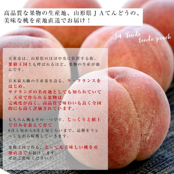 山形県から産地直送 JAてんどう 山形の桃 秀品 約3キロ (8玉から12玉) 送料無料 桃 モモ もも05