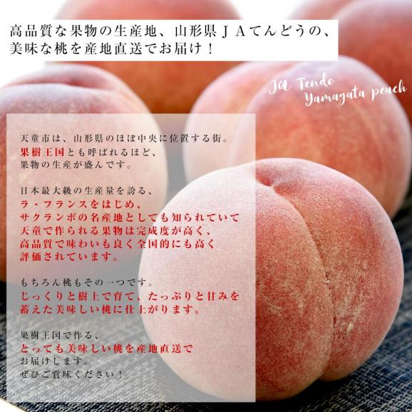 山形県から産地直送 JAてんどう 山形の桃 (品種：川中島白桃) 秀品 約3キロ (8玉から12玉) 送料無料 桃 モモ もも05