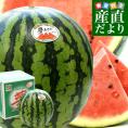 秋田県 JAうご 大玉スイカ 夢あきた A品 5Lサイズ 10キロ以上（1玉入り） 送料無料 西瓜 すいか