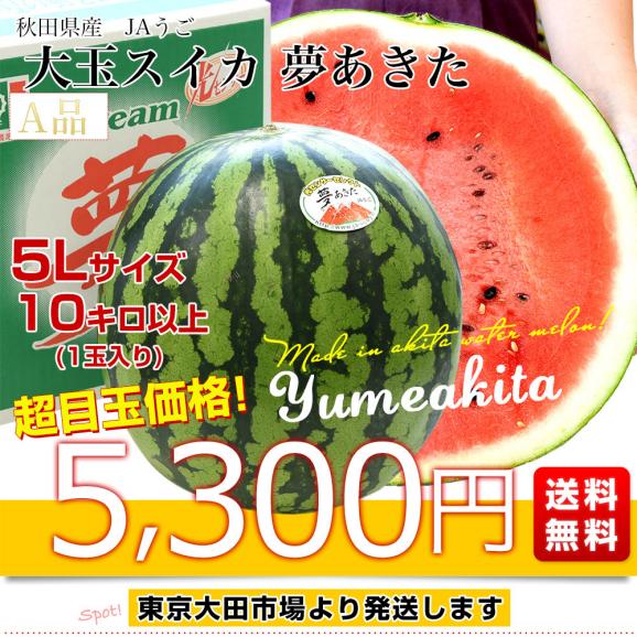 秋田県 JAうご 大玉スイカ 夢あきた A品 5Lサイズ 10キロ以上（1玉入り） 送料無料 西瓜 すいか03