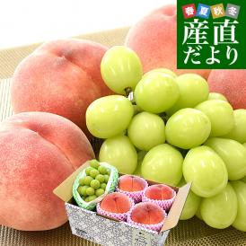 長野県産 フルーツセット「高糖度桃」糖度13度以上 4玉 (約1.2キロ) ＆「シャインマスカット」1房 約500g 送料無料 ギフト フルーツ詰め合わせ