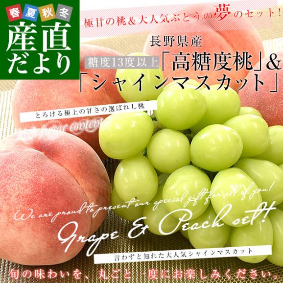 長野県産 フルーツセット「高糖度桃」糖度13度以上 4玉 (約1.2キロ) ＆「シャインマスカット」1房 約500g 送料無料 ギフト フルーツ詰め合わせ02