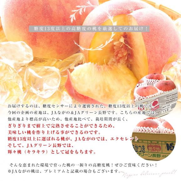 長野県産 フルーツセット「高糖度桃」糖度13度以上 4玉 (約1.2キロ) ＆「シャインマスカット」1房 約500g 送料無料 ギフト フルーツ詰め合わせ05