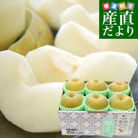 千葉県産 JAいちかわ 市川の梨 （柏井または市川中央支部）優品以上 約2キロ 大玉（5玉から6玉） 送料無料 梨 なし ナシ