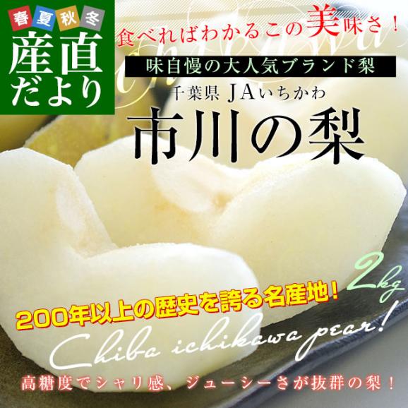 千葉県産 JAいちかわ 市川の梨 （柏井または市川中央支部）優品以上 約2キロ 大玉（5玉から6玉） 送料無料 梨 なし ナシ02