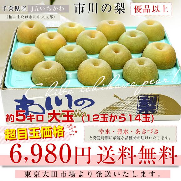 千葉県産 JAいちかわ 市川の梨 （柏井または市川中央支部）優品以上 約5キロ 大玉（12玉から14玉） 送料無料 梨 なし ナシ03