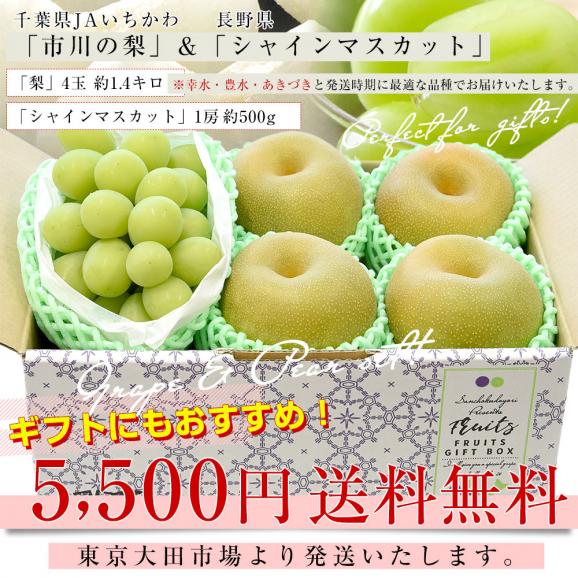千葉県産 JAいちかわ 市川の梨 優品以上 4玉(約1.4キロ)＆長野県産 シャインマスカット 1房(約500g)送料無料 夏ギフト ぶどう03