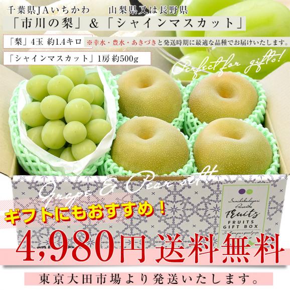 千葉県産 JAいちかわ 市川の梨 優品以上 4玉(約1.4キロ)＆山梨県又は長野県産 シャインマスカット 1房(約500g) 送料無料 ぶどう ナシ フルーツセット03