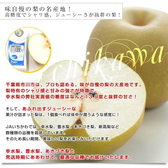 千葉県産 JAいちかわ 市川の梨 優品以上 4玉(約1.4キロ)＆長野県産 シャインマスカット 1房(約500g)送料無料 夏ギフト ぶどう05