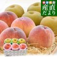 長野県産 高糖度桃 3玉(約900g)＆千葉県産 JAいちかわ 市川の梨 3玉(約1キロ) 送料無料 モモ ナシ 夏ギフト
