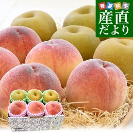 長野県産 高糖度桃 3玉(約900g)＆千葉県産 JAいちかわ 市川の梨 3玉(約1キロ) 送料無料 モモ ナシ 夏ギフト