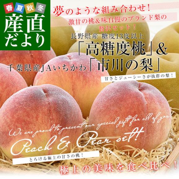 長野県産 高糖度桃 3玉(約900g)＆千葉県産 JAいちかわ 市川の梨 3玉(約1キロ) 送料無料 モモ ナシ 夏ギフト02