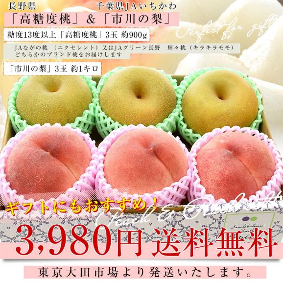 長野県産 高糖度桃 3玉(約900g)＆千葉県産 JAいちかわ 市川の梨 3玉(約1キロ) 送料無料 モモ ナシ 夏ギフト03
