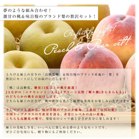 長野県産 高糖度桃 3玉(約900g)＆千葉県産 JAいちかわ 市川の梨 3玉(約1キロ) 送料無料 モモ ナシ 夏ギフト04