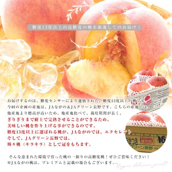 長野県産 高糖度桃 3玉(約900g)＆千葉県産 JAいちかわ 市川の梨 3玉(約1キロ) 送料無料 モモ ナシ 夏ギフト05