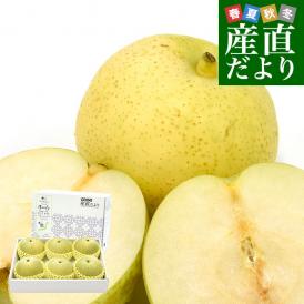 鳥取県産 JA全農鳥取 二十世紀梨 約2キロ （5玉から6玉入り）大玉　送料無料 なし青梨