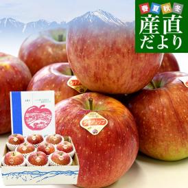 長野県 JAあづみ 安曇野 シナノリップ 約3キロ（8玉から10玉入り）送料無料 りんご アップル