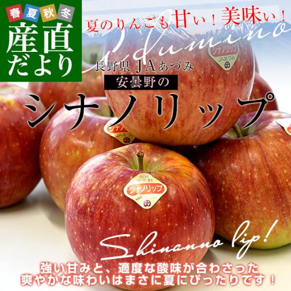 長野県 JAあづみ 安曇野 シナノリップ 約3キロ（8玉から10玉入り）送料無料 りんご アップル02
