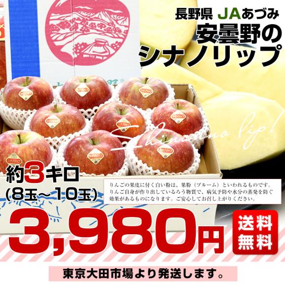 長野県 JAあづみ 安曇野 シナノリップ 約3キロ（8玉から10玉入り）送料無料 りんご アップル03