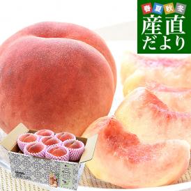 青森県産 JAつがる弘前 高糖度選果品 つがるの桃 約1.8キロ（5玉から7玉）送料無料 もも モモ 桃